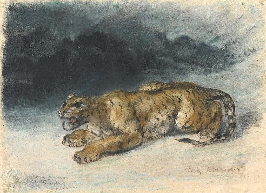 Tigre che si prepara alla primavera